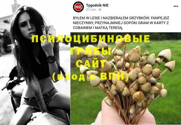 стафф Белоозёрский