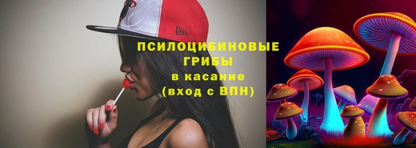 гидропоника Белокуриха