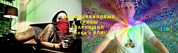 гидропоника Белокуриха