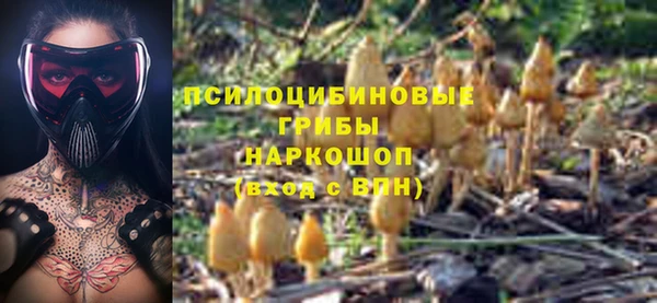 стафф Белоозёрский